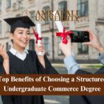 Top Benefits of Choosing a Structured Undergraduate Commerce Degree